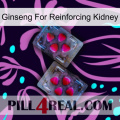 Ginseng For Reinforcing Kidney 15